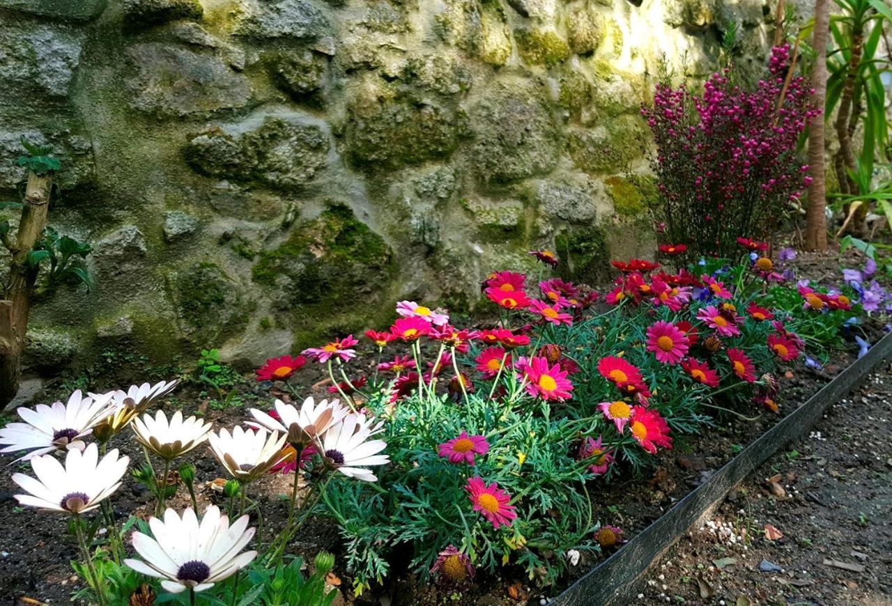 Boavista Charming Apartment With Garden By Great&Cosy Porto Dış mekan fotoğraf